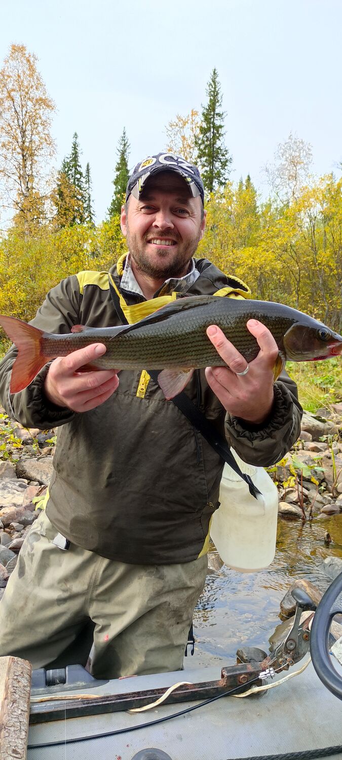 ���� 37056394 ������� �������, 42 ����, ���� ���������� � �����