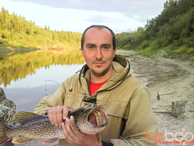 ���� 995974 ������� �����55, 48 ���, ���� ���������� � �����