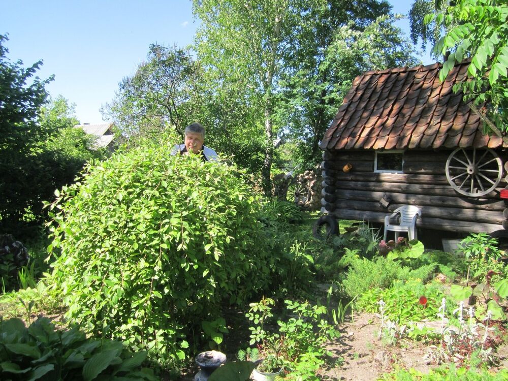  ,   Normunds, 55 ,   ,   , c 