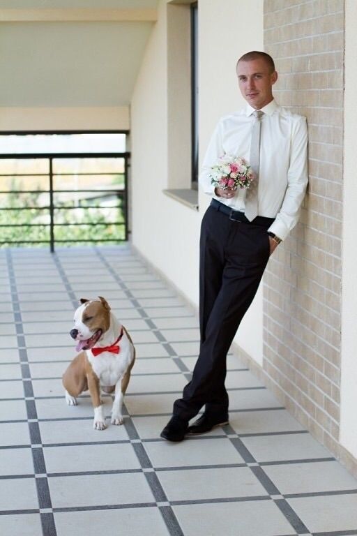 ���������� ���������, ���� ������� ����, 39 ���, ������������ ��� ������