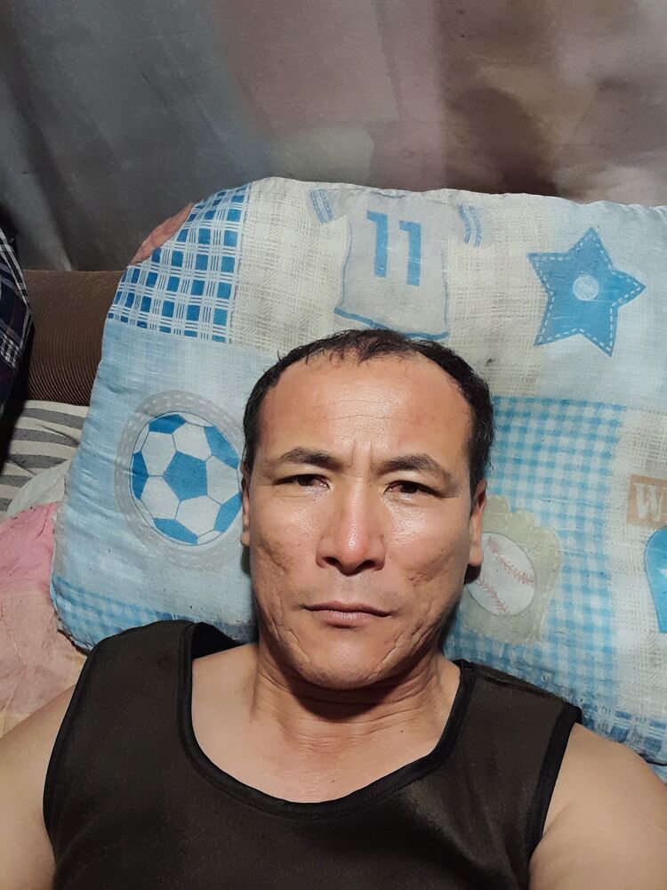  31798854  , 46 ,    