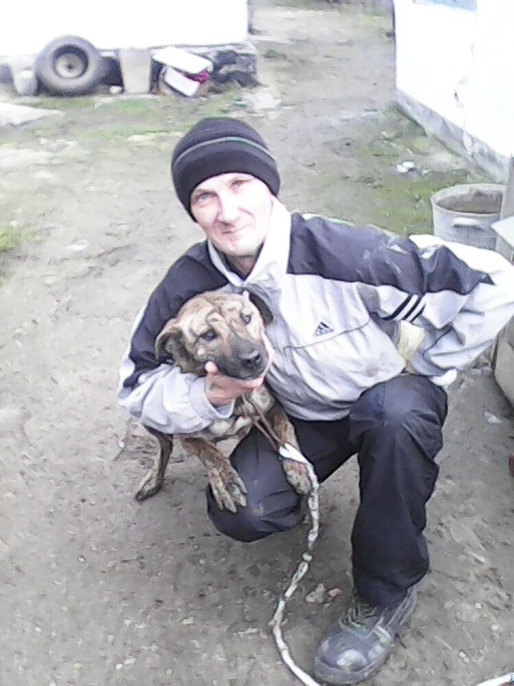  ,   , 53 ,   