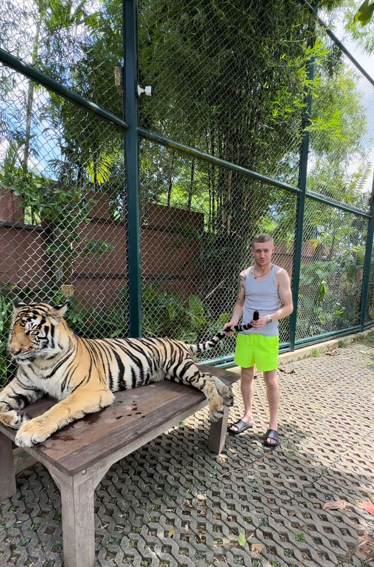  ,   , 33 ,  