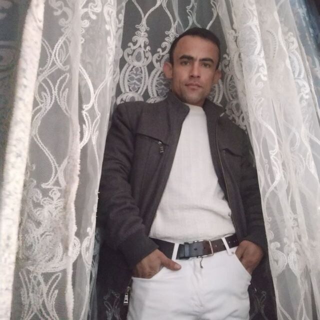  43557694  , 31 ,    
