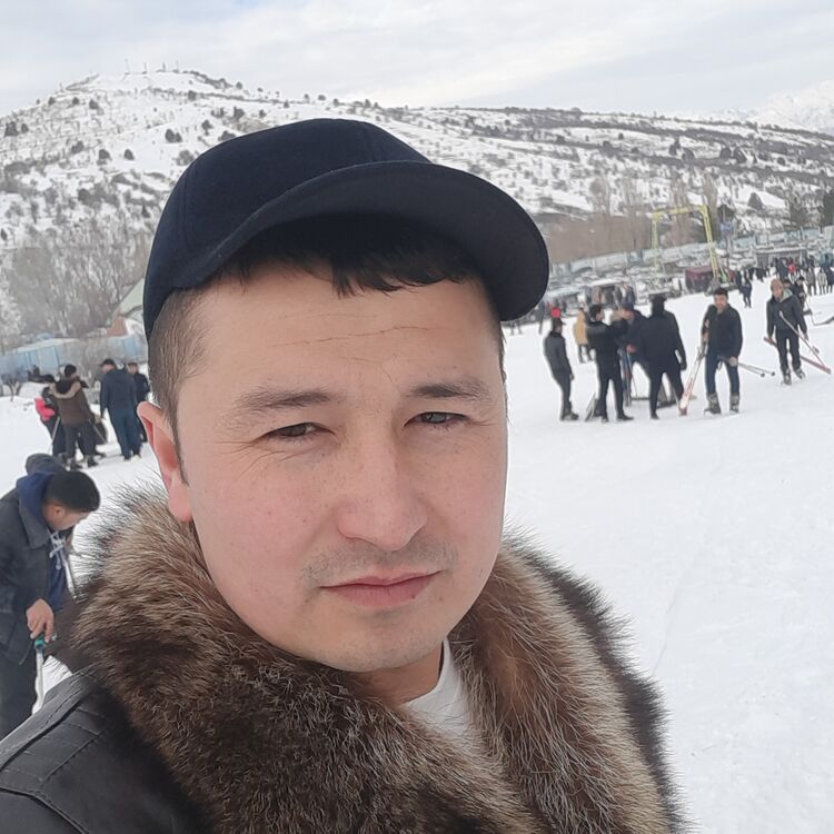 ���� 33850574 ������� ������, 34 ����, ���� ���������� � ������������