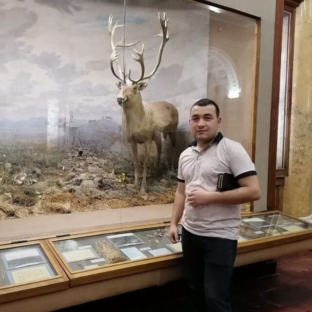 ���������� �����-���������, ���� ������� ���, 35 ���, ������������ ��� ������, ����� � ���������