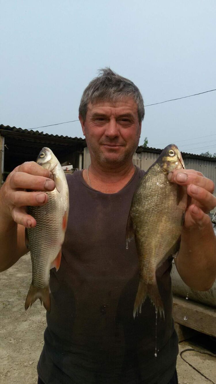 ���� 55543954 ������� �������, 64 ����, ���� ���������� � ������