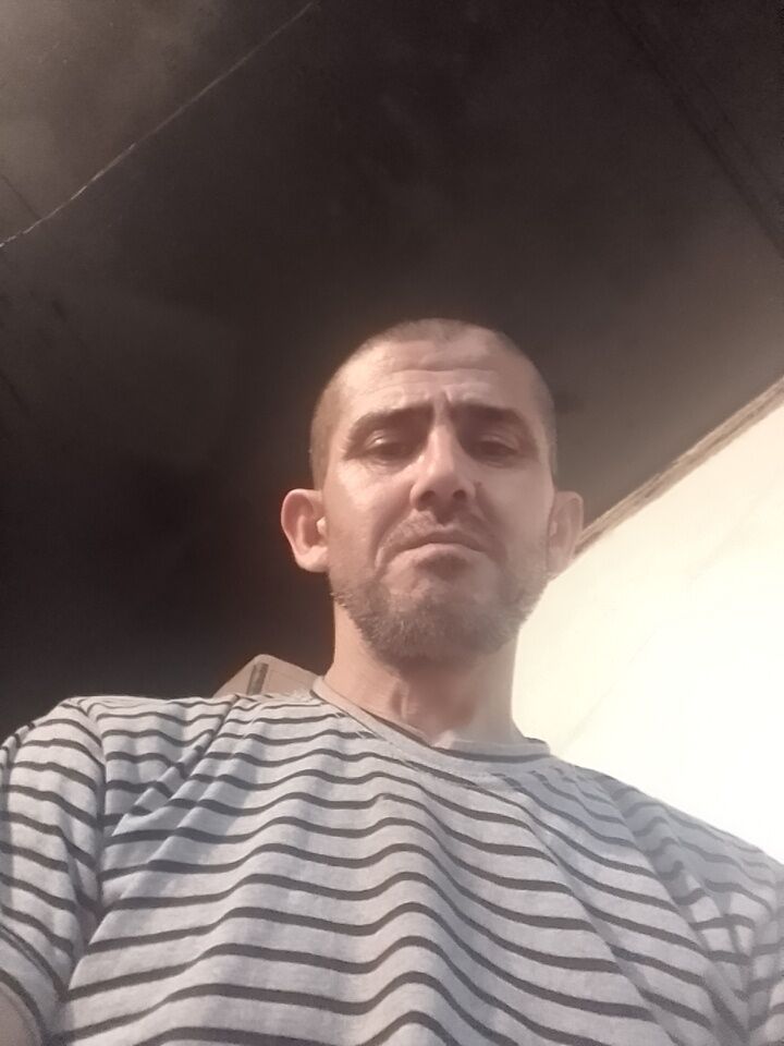  25768044  , 46 ,    