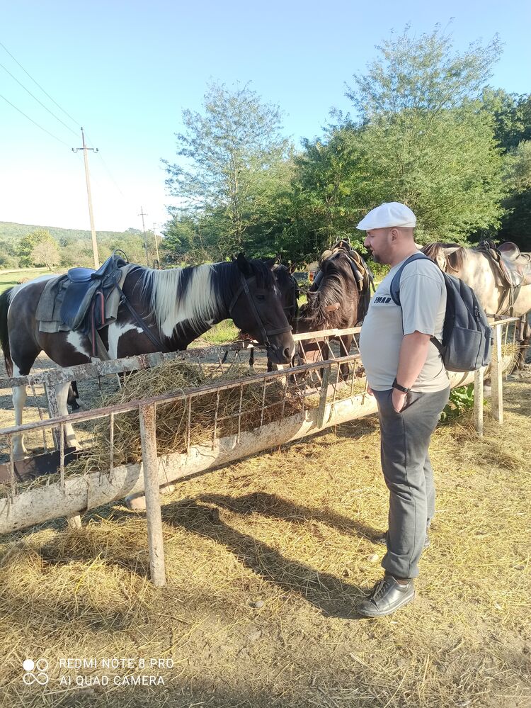 ���������� �������, ���� ������� �������, 36 ���, ������������ ��� ������, ����� � ���������, c�������� ���������