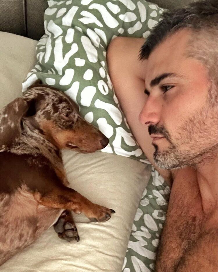 ���� 50048364 ������� ������, 36 ���, ���� ���������� � ��������