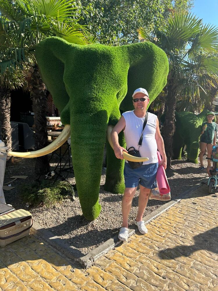 ���������� ������ ��������, ���� ������� ������� �, 40 ���, ������������ ��� ������, ����� � ���������, c�������� ���������, ���������