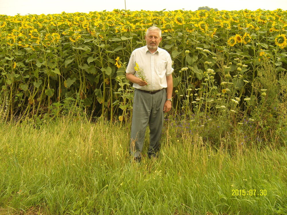 ���������� ���������, ���� ������� ��������, 71 ���, ������������ ��� ����� � ���������, c�������� ���������