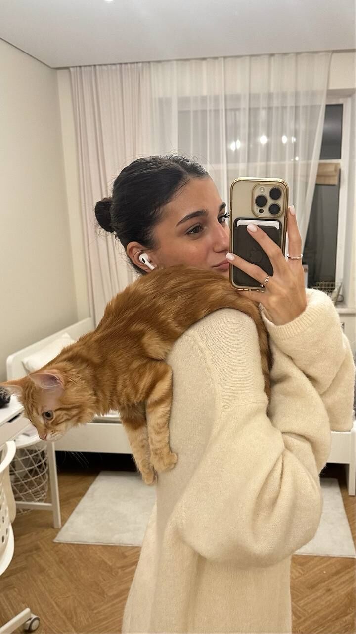 ���� 50356864 ������� ������, 26 ���, ���� ���������� � �������