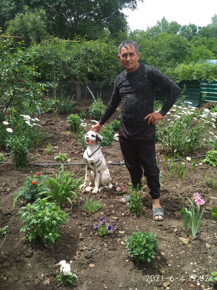 ���� 23119024 ������� �����, 55 ���, ���� ���������� � ����������