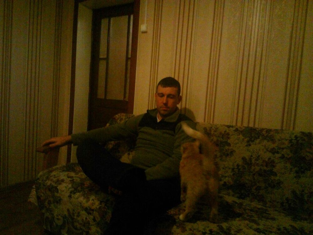  54627824  , 36 ,    -