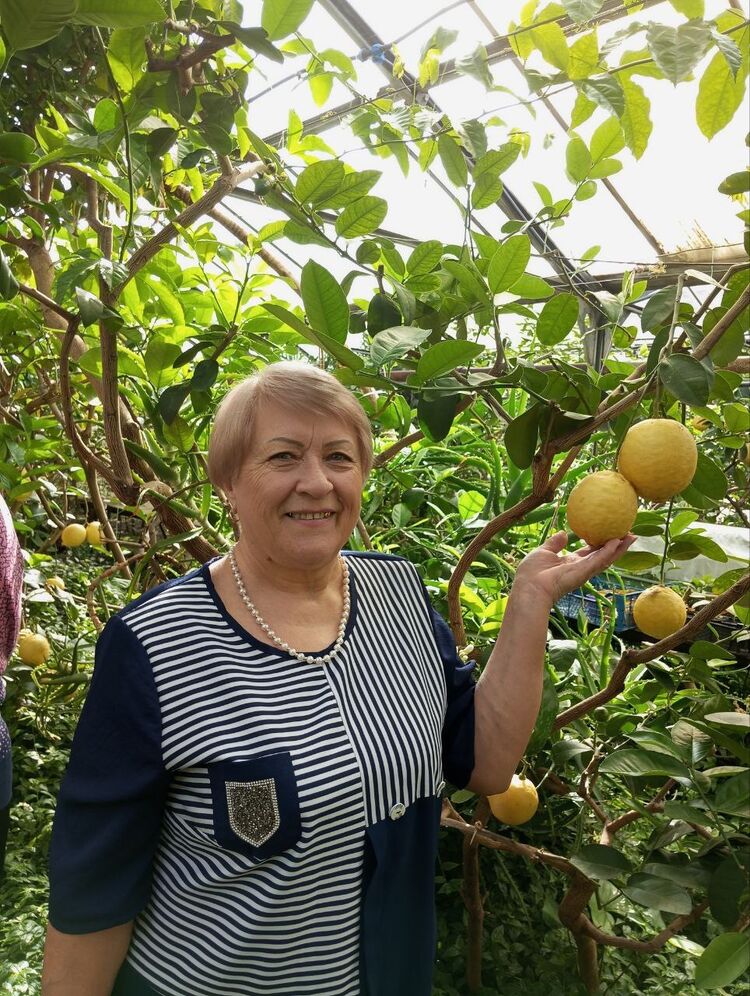 ���� 43656244 ������� �������, 68 ���, ���� ���������� � ��������