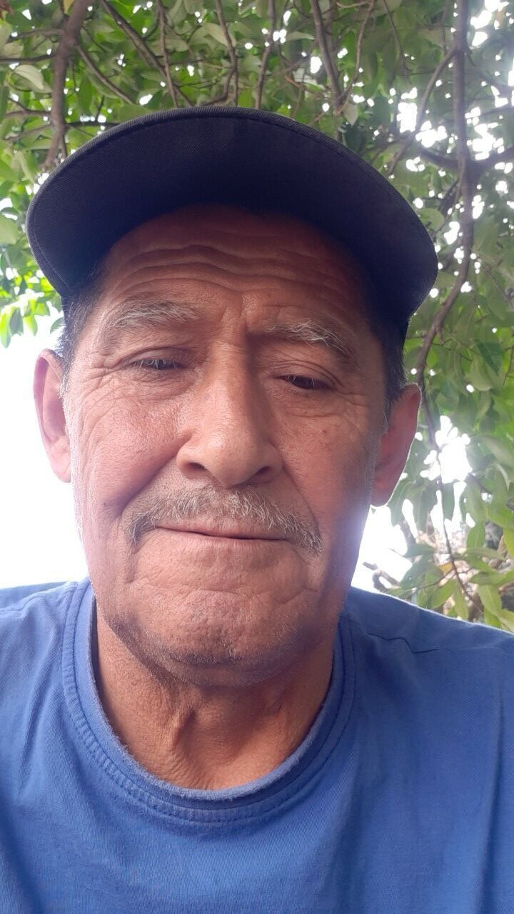  38823474  , 66 ,    