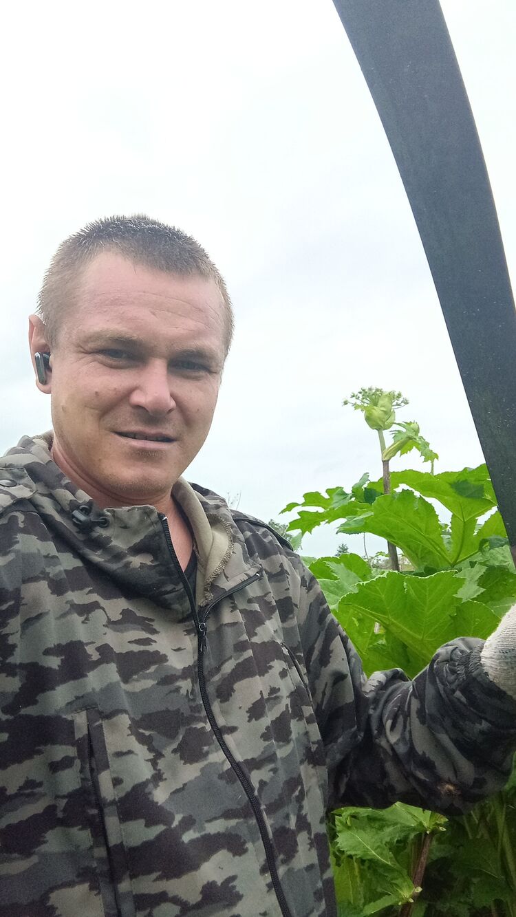 ���� 54247194 ������� ����, 31 ���, ���� ���������� � ��������