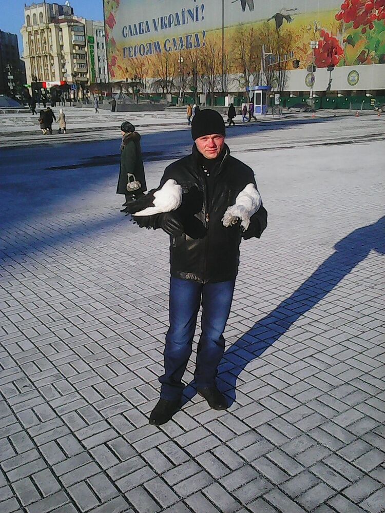 ���� 5583084 ������� ������, 34 ����, ���� ���������� � �������