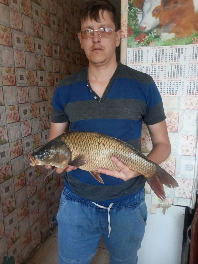  24002954  , 40 ,    