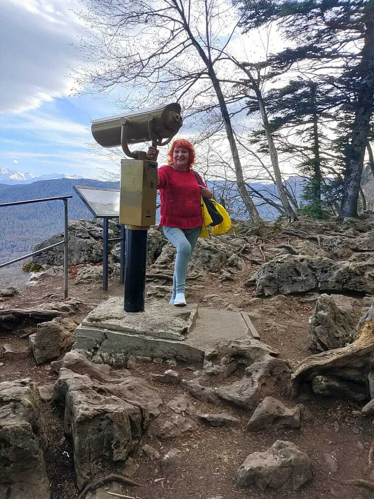 ���������� �����������, ���� ������� ��������, 66 ���, ������������ 