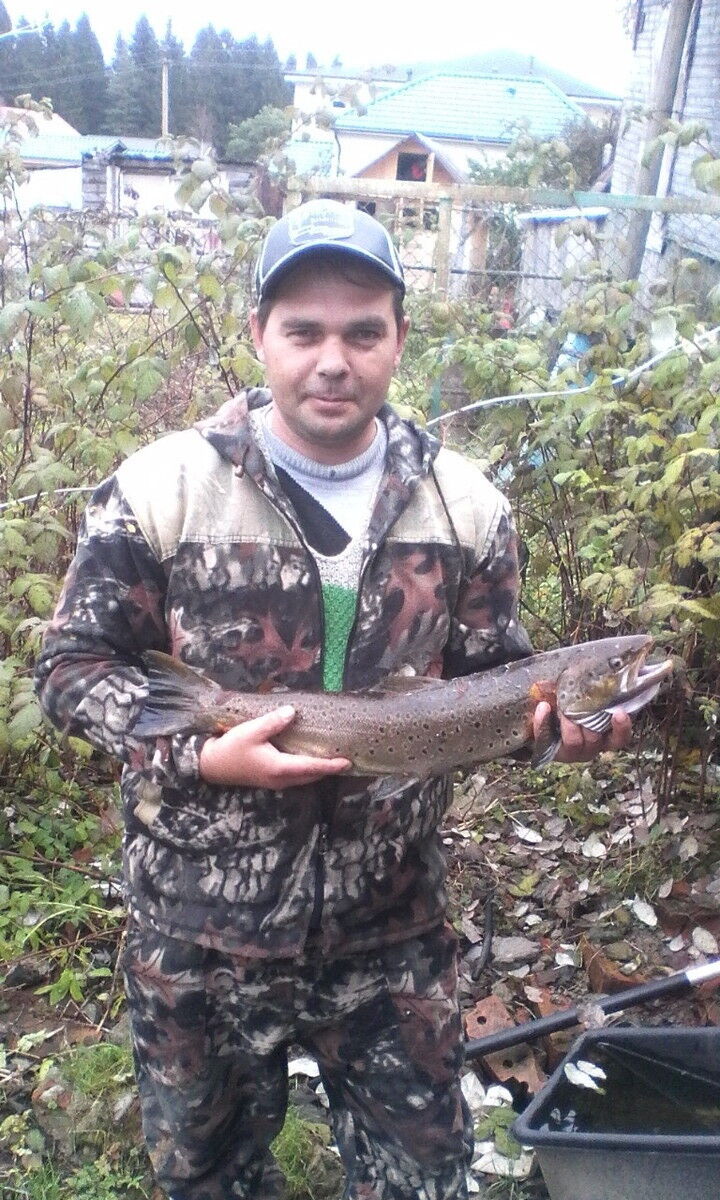 ���� 8646144 ������� �����, 47 ���, ���� ���������� � �����-����������