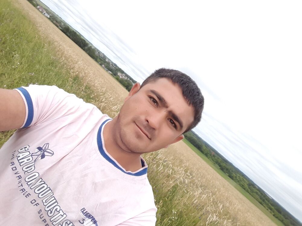 32028674  , 31 ,    