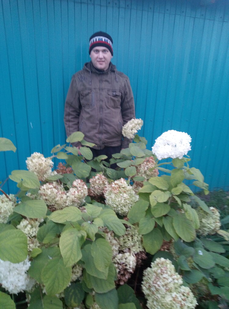 ���� 25204144 ������� ��������, 36 ���, ���� ���������� � ��������