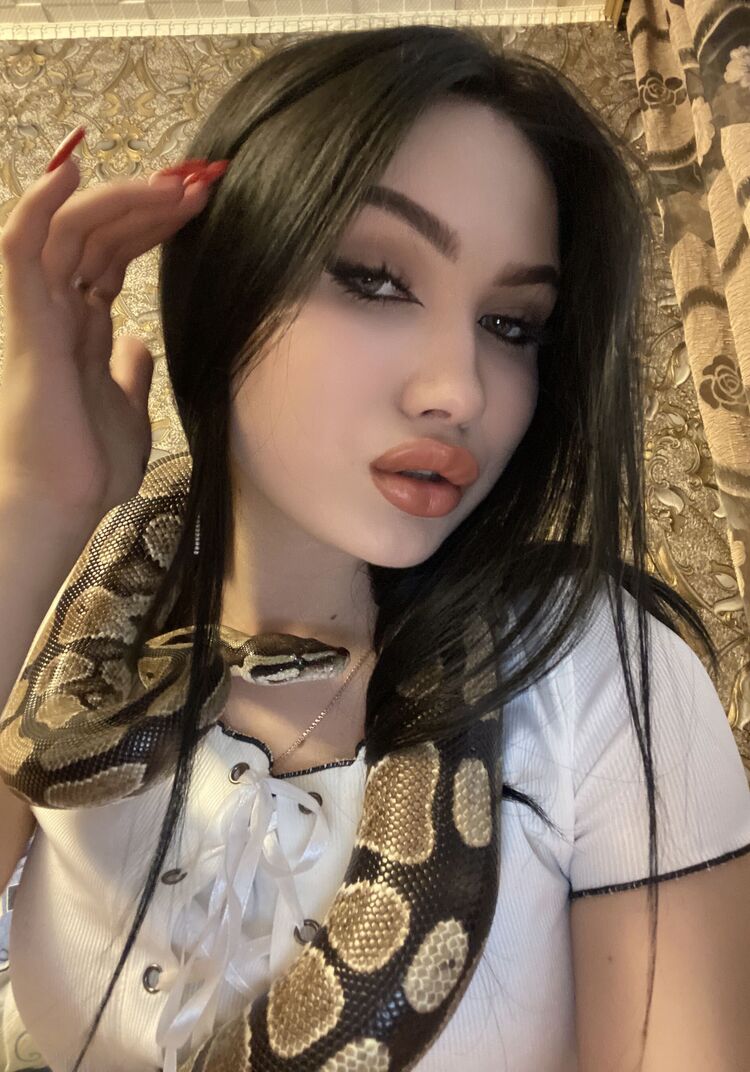 ���� 35312734 ������� �����, 22 ����, ���� ���������� � ������