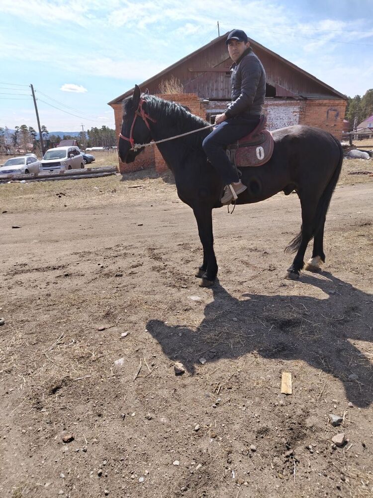  -,   , 25 ,   ,   