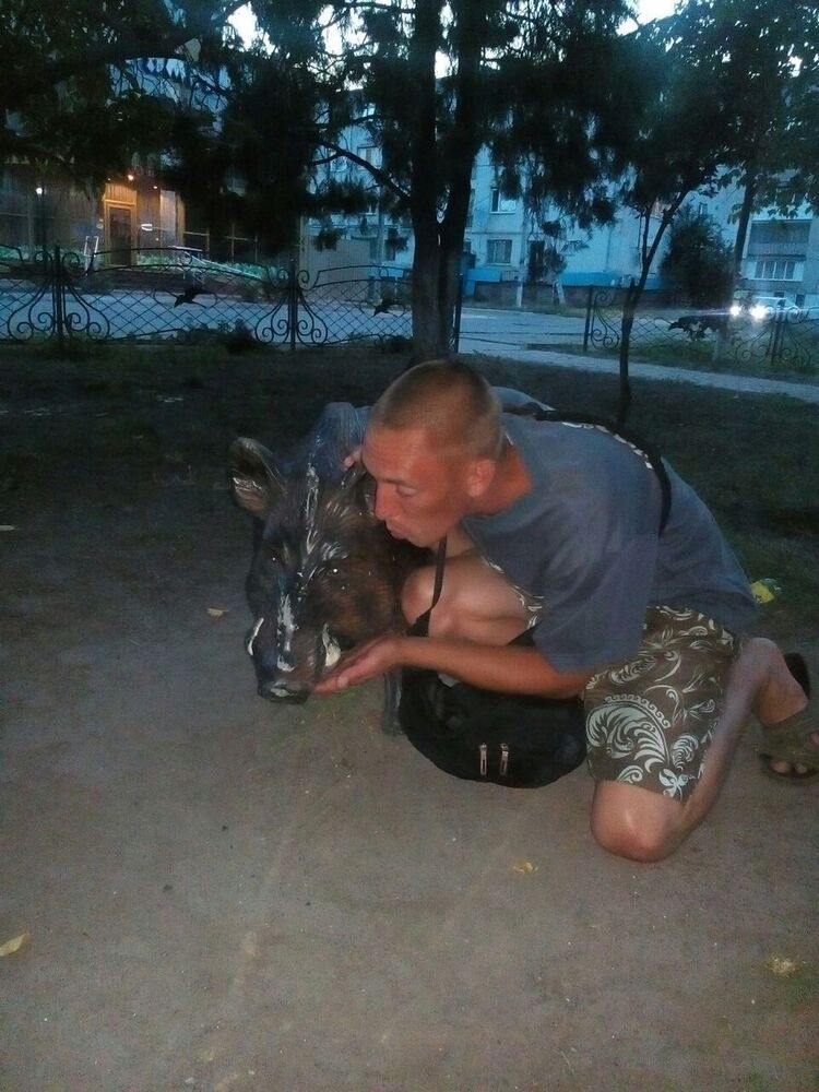 11215334  , 40 ,    