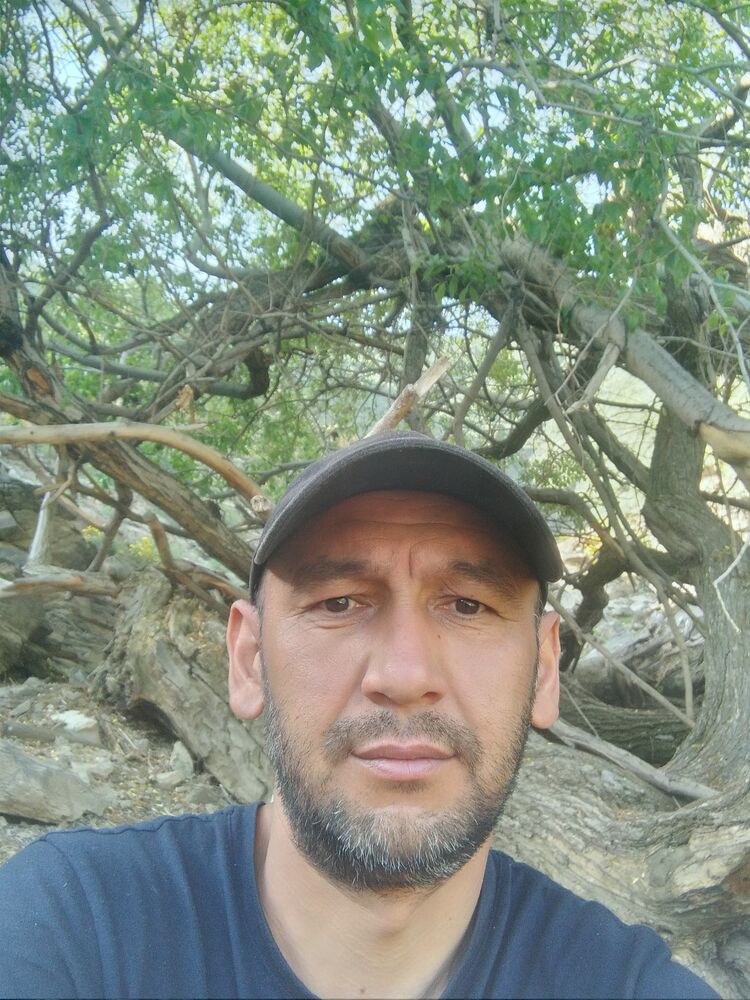 ���� 28953924 ������� ����, 44 ����, ���� ���������� � ������