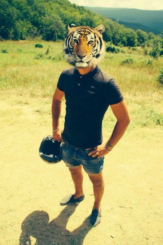 ���������� ����, ���� ������� Elchin, 36 ���, ������������ ��� ������, ����� � ���������, c�������� ���������