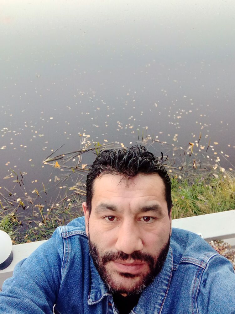  29493804  , 44 ,    -