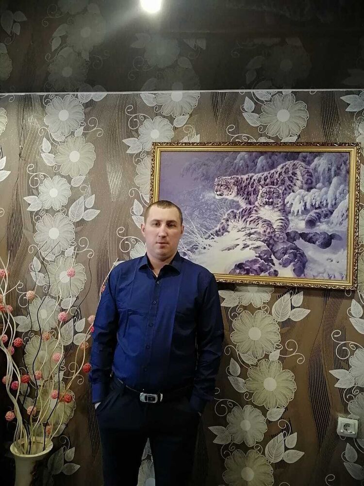  53594274  , 36 ,    -