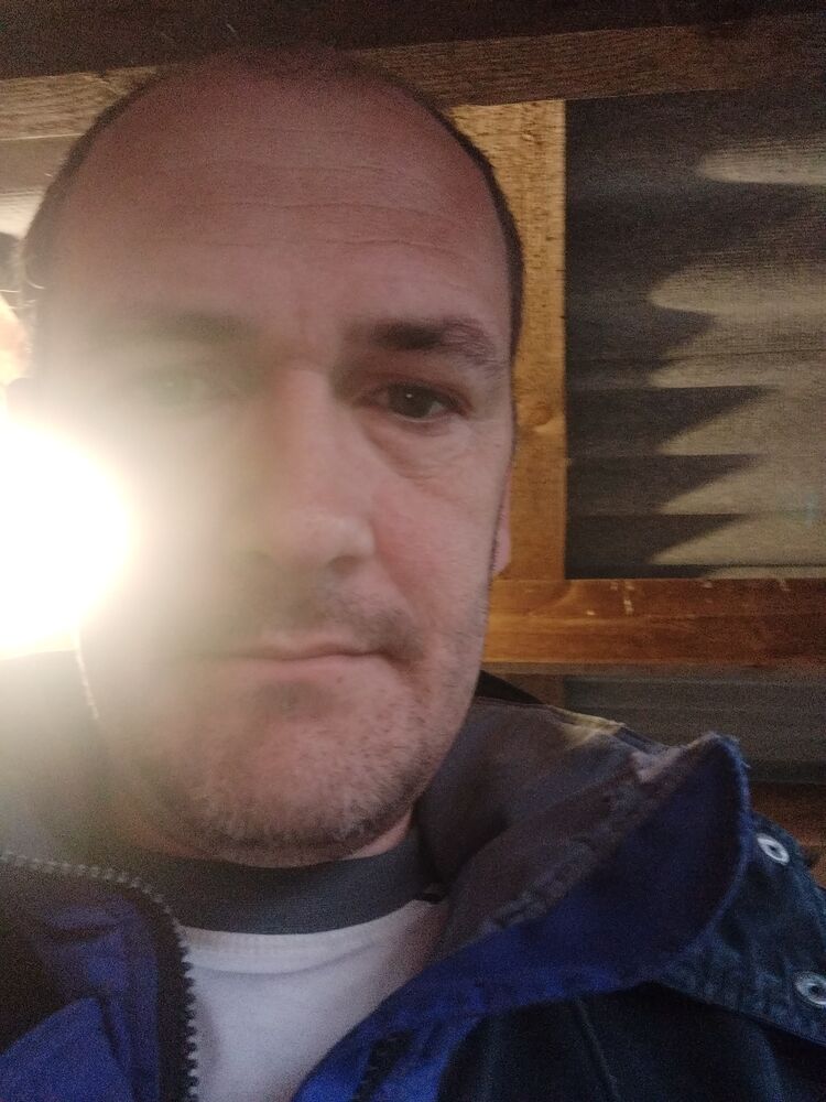  45036974  , 38 ,    