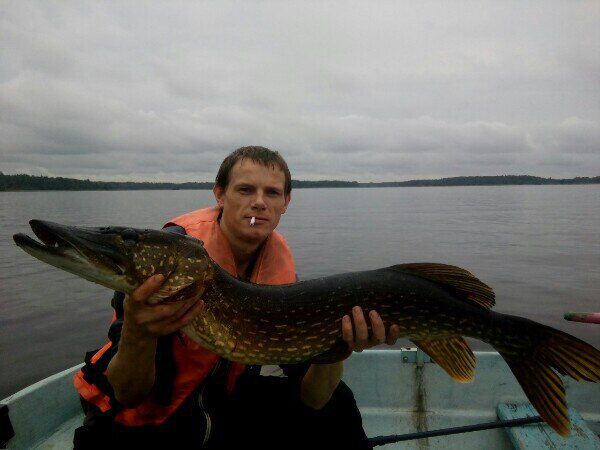 ���� 23136494 ������� �����, 39 ���, ���� ���������� � �����-����������