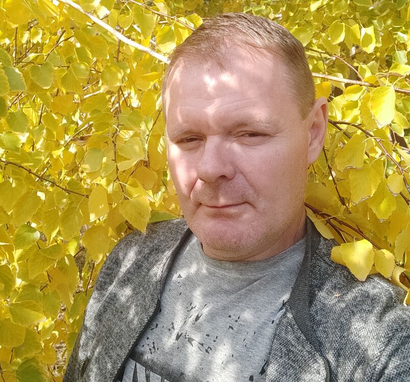 ���� 24131414 ������� �������, 52 ����, ���� ���������� � ����������