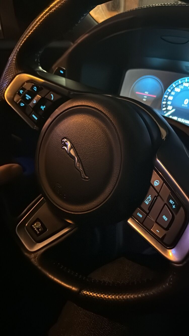  41729954  , 31 ,    