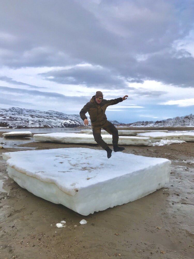 ���� 36175904 ������� �����, 31 ���, ���� ���������� � ���������