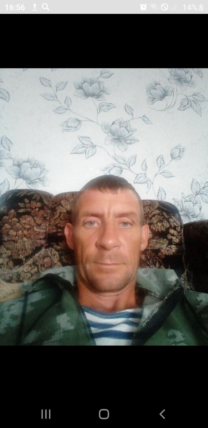  23126684  , 43 ,    
