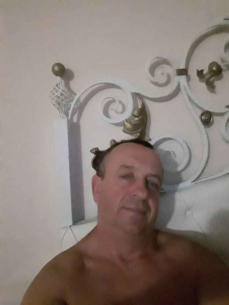  43955114  , 55 ,    