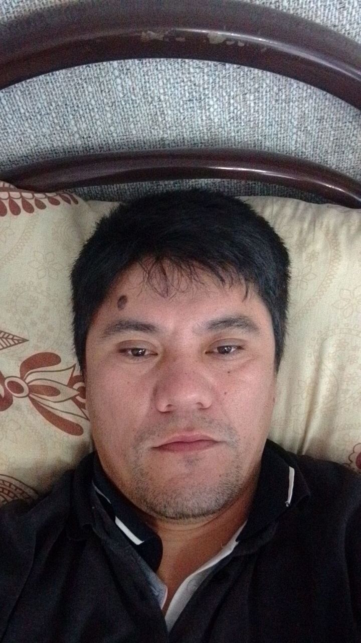  37768424  , 31 ,    