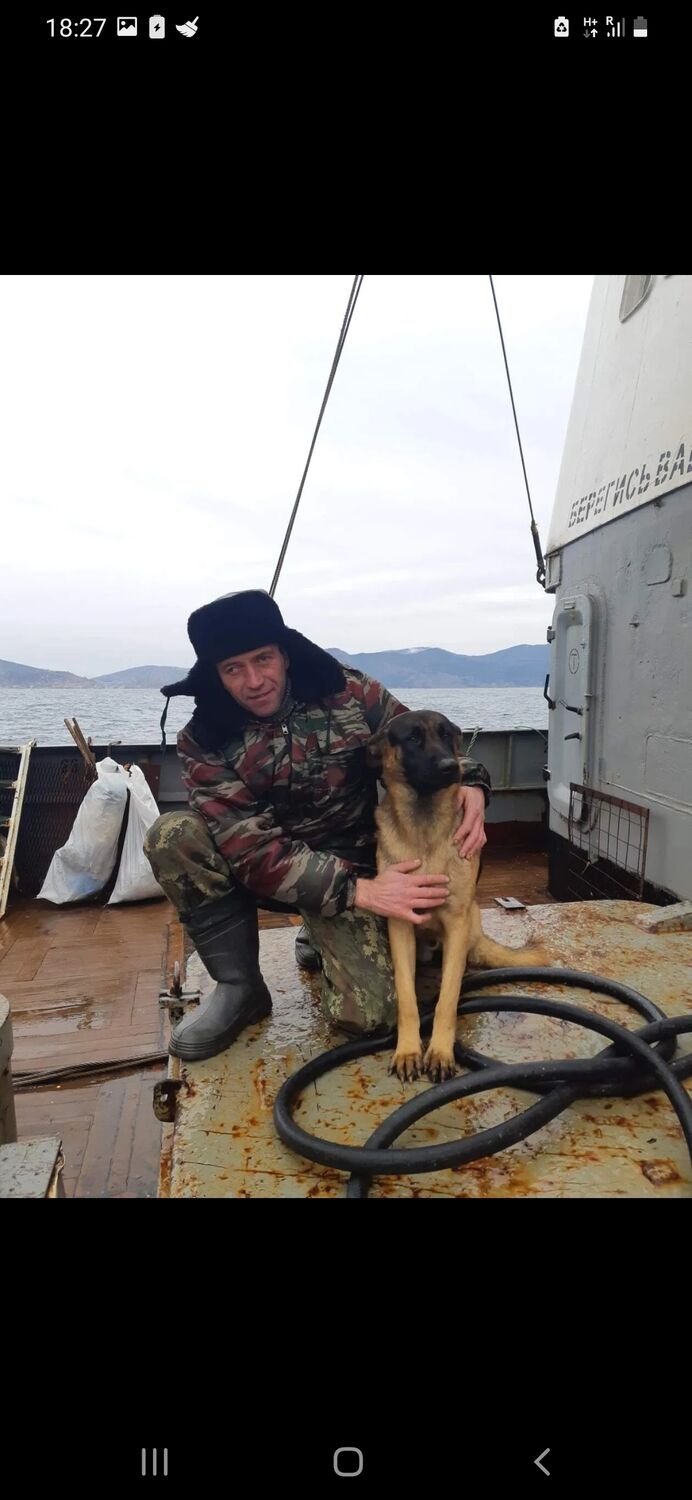 ���������� �����������, ���� ������� �������, 43 ����, ������������ ��� c�������� ���������