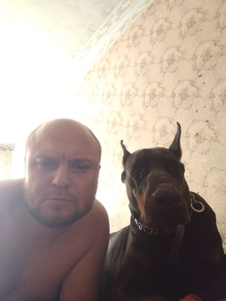  52880274  Konstantin, 37 ,    