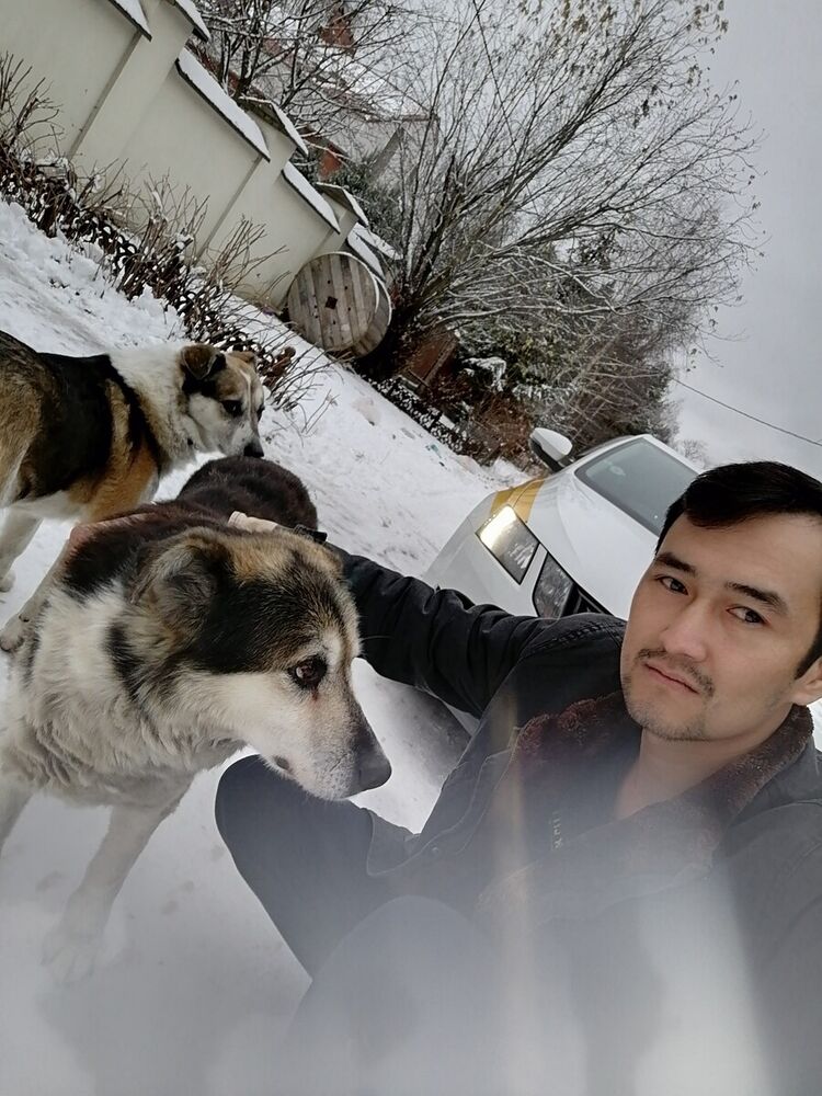 ���������� ������, ���� ������� ���, 38 ���, ������������ ��� ������, ����� � ���������