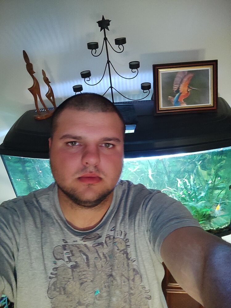  24034944  , 32 ,    