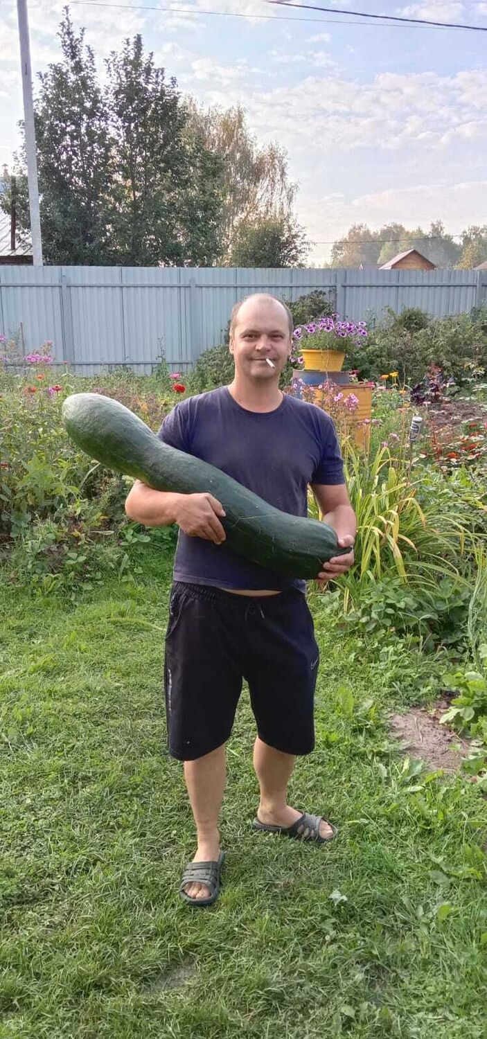 ���� 46138704 ������� ������, 42 ����, ���� ���������� � ������������