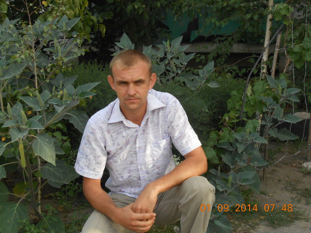 ���� 9479414 ������� ����, 40 ���, ���� ���������� � ��������