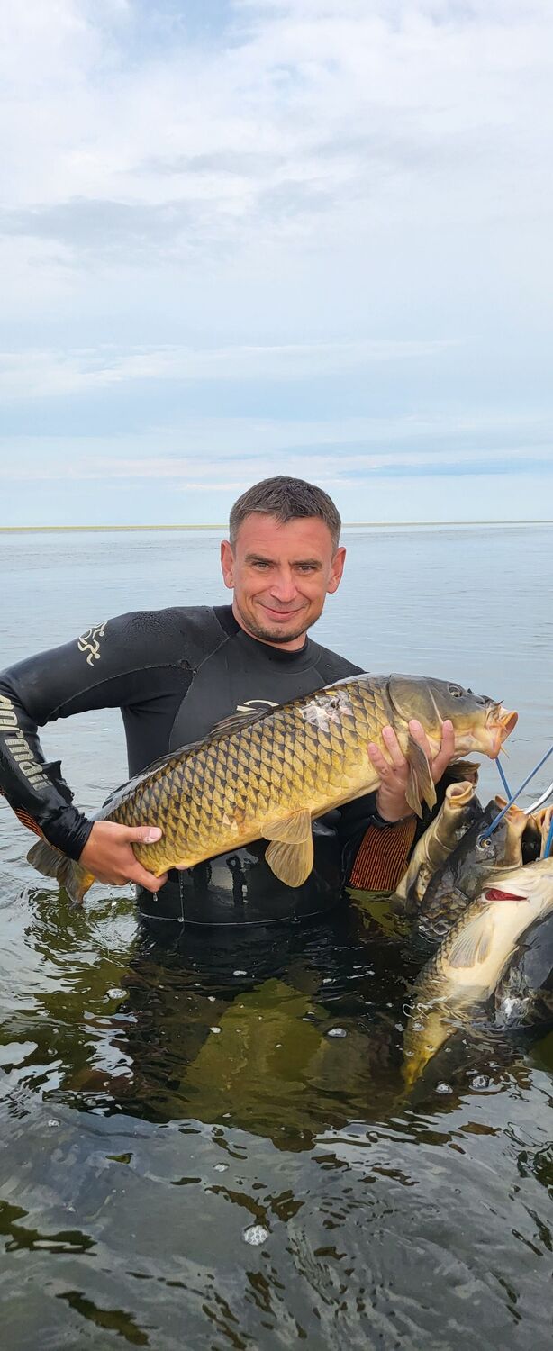  ,   Sergei, 44 ,     , c 